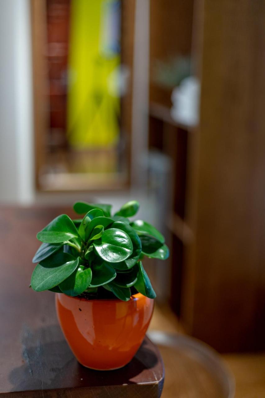 The Autumn Homestel Hà Nội Ngoại thất bức ảnh